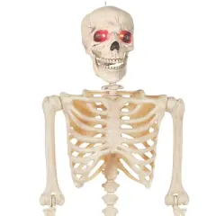 BOO BOX 5' Animated Full Size Skeleton, Halloween Decorations for Outside with Lightup Eyes and Speaker