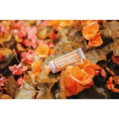 Marvis Toothpaste (Ginger Mint) - 4.5 oz FULL SIZE | Tooth paste w/ mint to create a subtly spicy effect | Removes teeth plaque and tartar