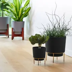 Bloem Hopson With Metal Stand Plastic Planter Pots 