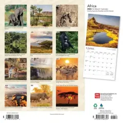 Browntrout 2024 Wall Calendar 12"x12" Africa