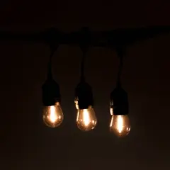 Aurio 48' Suspended Style E26 Patio Light Set with Black Wire