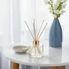 4oz Boxed Driftwood and Sea Salt Reed Diffuser - Threshold&trade;