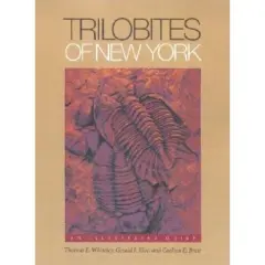 Trilobites of New York - Annotated by  Thomas E Whiteley & Gerald J Kloc & Carlton E Brett (Hardcover)
