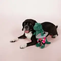 PetShop by Fringe Studio Surfer Bro Rex Dog Toy