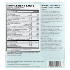 Terra Origin Healthy Hydration+, Lemonade, 30 On The Go Packets, 0.20 oz (5.8 g) Each