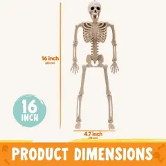 Joyfy 1/2/5/10 PCS 16" Posable Skeleton Halloween Decorative Props for Indoor/Outdoor Halloween Decorations Graveyard Haunted House Spooky Scene Party