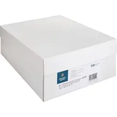 Business Source Regular Business Envelopes