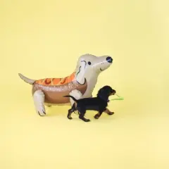 Trick or Treat Street Hot Dog Dachshund Mylar Balloon - Pack of 1 Air Filled Balloon
