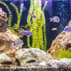 Unique Bargains Aquarium Decoration Fish Hiding Ceramic Cave Brown 7.09"x3.62"x2.36" 1 Pc