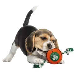 NBA Boston Celtics Basketball Rope Toy