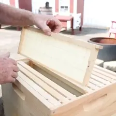 Lehman's Beekeeping Beehive Box, 10 Frame Medium Assembled Super or Brood Honeybee Hive Box with Plastic Foundation Frames, Amish Made