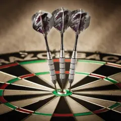 Viper Underground Raven Steel Tip Darts - 25gms