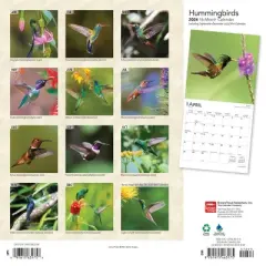 Browntrout 2024 Wall Calendar 12"x12" Hummingbirds Foiled
