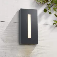 C Cattleya 2-Light Matte Black Integrated LED Hardwired Outdoor Wall Light with Frosted Glass Shade