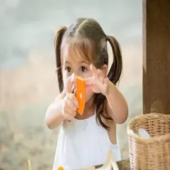 Plantoys| Breakfast Menu