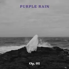 Purple Rain - Op. 01 (incl. Booklet) (CD)