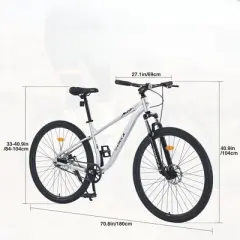 INFURNIC Bicycles, 29 Inch Mountain Bike for Men Women Boys and Girls, Mountain Bike with Single Speed, Silver, 70.8"*27.1"*40.9"