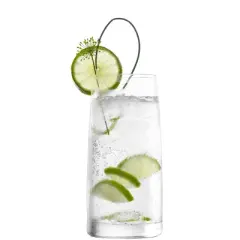 17oz 4pk Crystal Experience Highball Glasses - Stolzle Lausitz