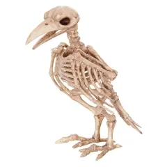 Seasons USA Raven Skeleton Halloween Decoration - 7.25 in x 6.5 in x 6 in - Beige