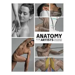 Anatomy for Artists - by  Publishing (Hardcover)