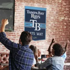24" x 38" MLB Tampa Bay Rays Wool Banner