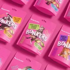 Bonkers Bites Chicken, Cheese and Catnip Flavor Cat Treats - 30oz