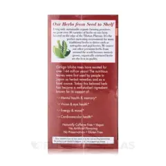 Bravo Tea Absolute Ginkgo Biloba Tea - 1 Box/20 Bags