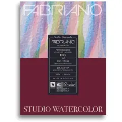 Fabriano Studio Watercolor Paper School Pack, 90 lb, 12 x 18 Inches, 100 Sheets
