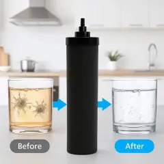 Nispira Premium Water Filter Black Element Cartridge Compatible with Berkey Countertop Water Purification System. Compared to Part BB9. 2 Filters