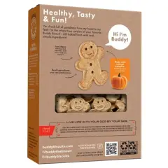 Buddy Biscuits Halloween Pumpkin Flavor Crunchy Grain Free Dog Treats - 14oz