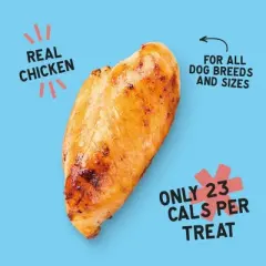 NOOD Pet Food Chicken Flavor Chewy Adult Dog Treat Sticks - 6oz