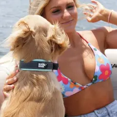 Black Neoprene Padded Dog Collar for All Breeds - Blue - Large