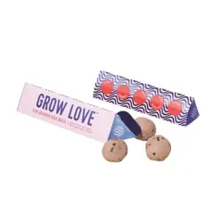 Modern Sprout Grow Love Wildflower Mix Seed Balls (Pack of 6)