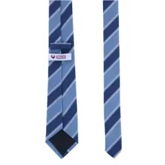Ascentix Men's Blue and Silver Striped Necktie