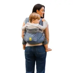 LILLEbaby Carryon Airflow DLX Baby Carrier