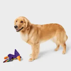 Pride 8" Pterosaur Plush with Rope Dog Toy - M
