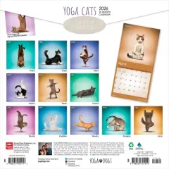 BrownTrout Yoga Cats 2026 12"x24" Hanging Square Wall Calendar Plastic-Free
