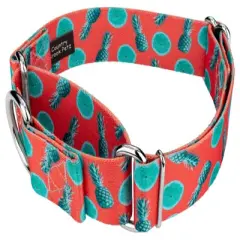 Country Brook Petz 1 1/2 Inch Tropical Tango Martingale Dog Collar