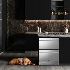 Tylza Under Counter Drawer Fridge 24 Inch, Built-in/Freestanding Beverage Refrigerator Stainless Steel Material, Fast Cooling,Black