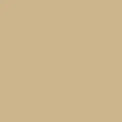 Allegra K Women's Elastic Solid Color Ankle High Silky Sheer Socks 6 Pairs