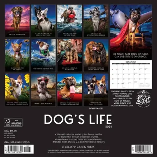 Willow Creek Press 2024 Wall Calendar 12"x12" Dog's Life image {1}