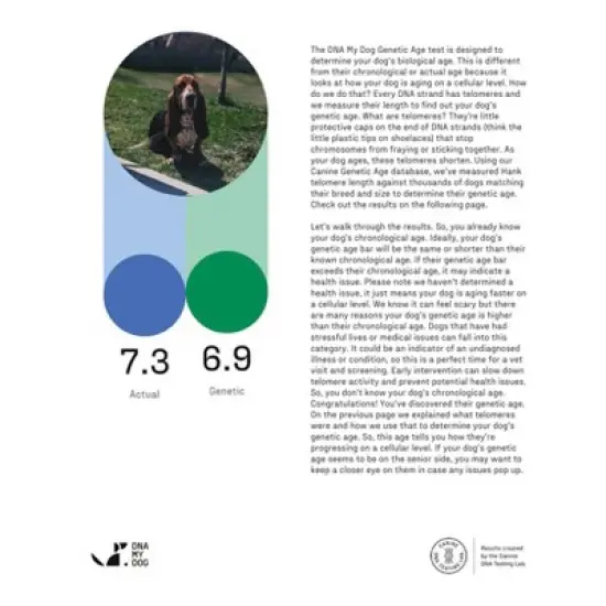 DNA My Dog Premium Dog Breed ID Test Kit image {3}