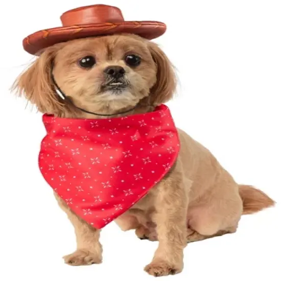 Rubies Toy Story Woody Pet Toy Bundle image {1}