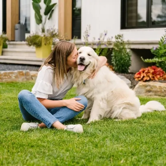 Pet Genie Pail Waste Container System - Gray image {7}
