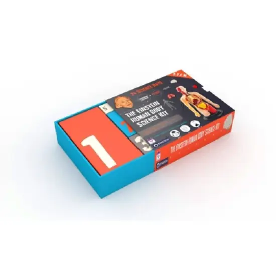 The Purple Cow The Human Body Advent Calendar: Educational Paper & Cardboard Winter Display image {20}