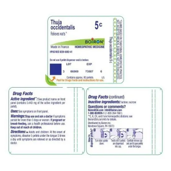 Thuja Occidentalis 5C by Boiron Homeopathic Single Medicine For First Aid  -  80 Pellet image {1}