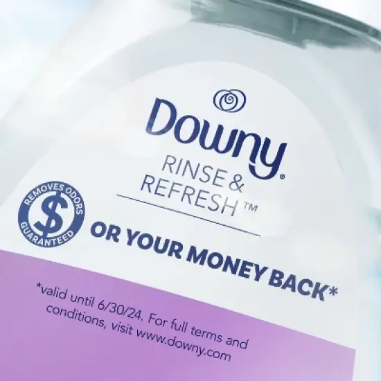 Downy Rinse & Refresh Laundry Odor Remover And Fabric Softener - Fresh Lavender - 48 fl oz image {9}