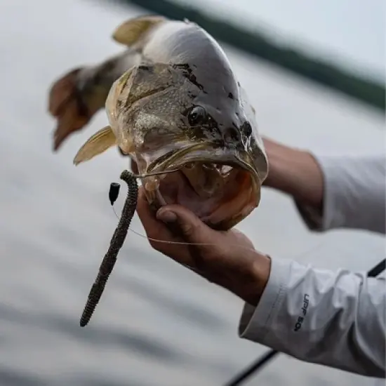 Rapala CrushCity Pigstick 5" image {1}