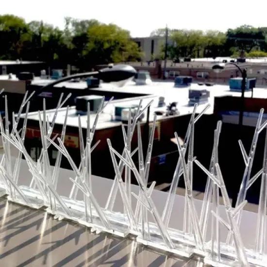 Bird-X 50ft Standard Plastic Bird Spikes image {2}