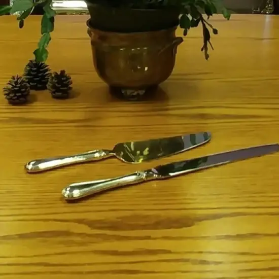 Jiallo  Silver Plate Cake Server & Knife-Rim Design image {2}